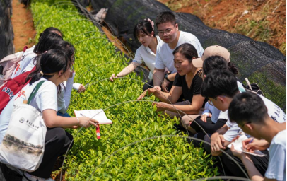 华东交大:22支“火车头”实践队进基层开展志愿服务活动_fororder_新华1