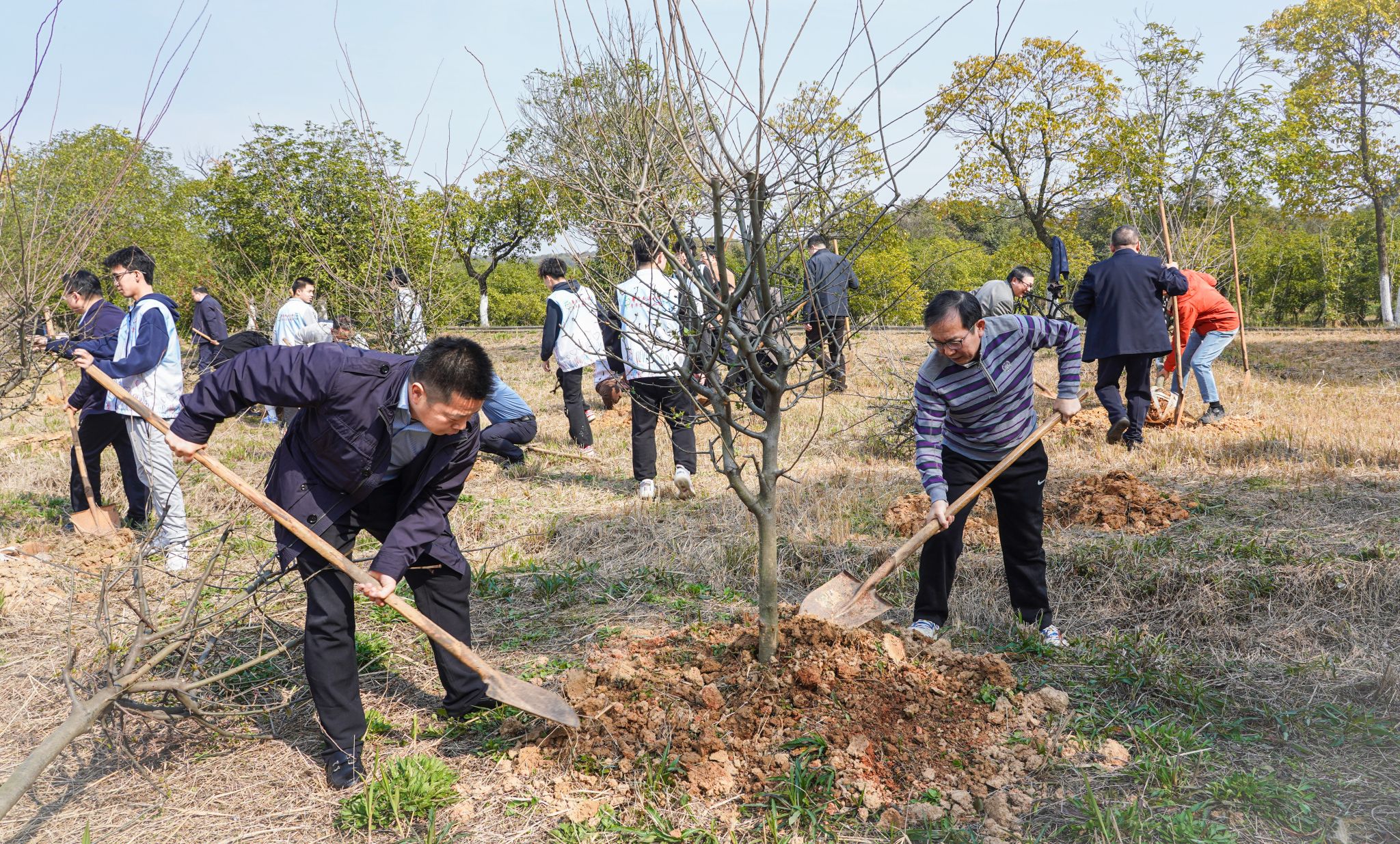 “植”此青绿 不负春光华东交通大学开展义务植树活动